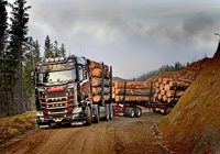 Log Haulage October 2024